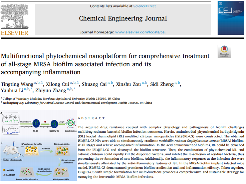 李艳华教授团队创建细菌环境响应型纳米药物递送系统研究获得新进展